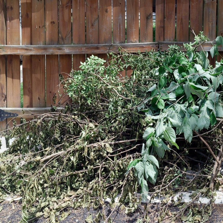 Landscaping in Fresno, CA