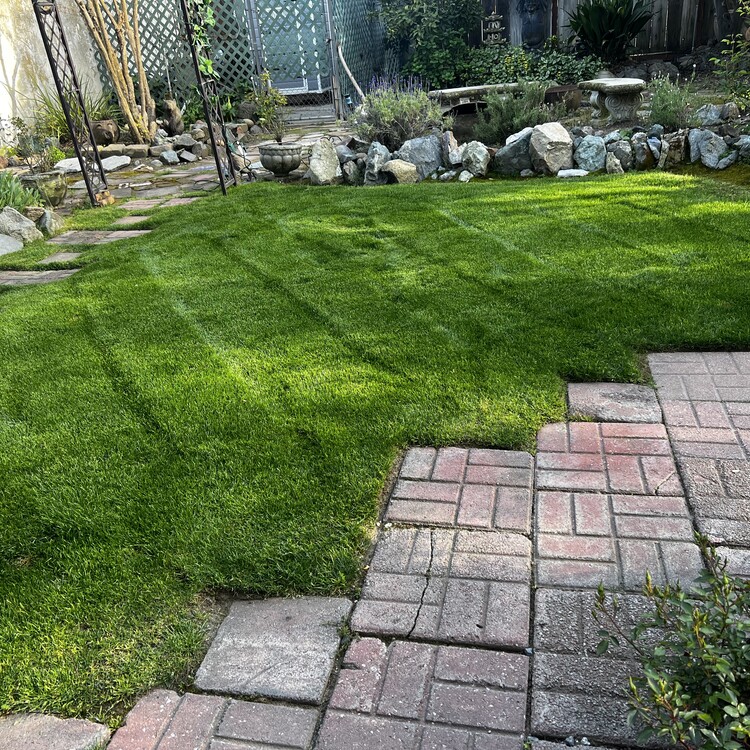 Landscaping in Fresno, CA