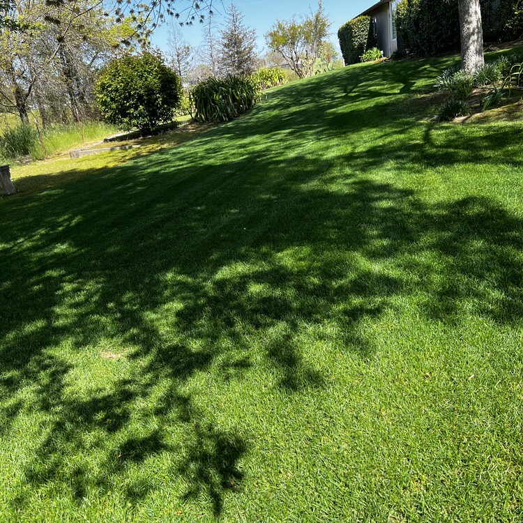 Landscaping in Fresno, CA