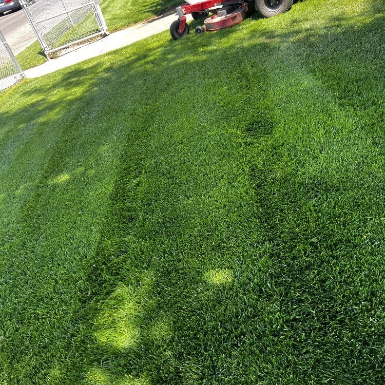 Landscaping in Fresno, CA