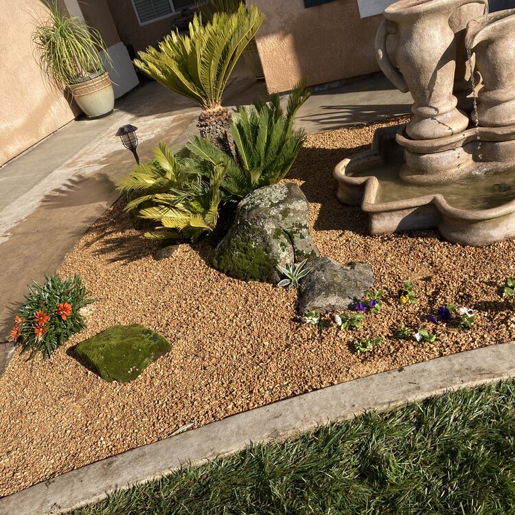 Landscaping in Fresno, CA