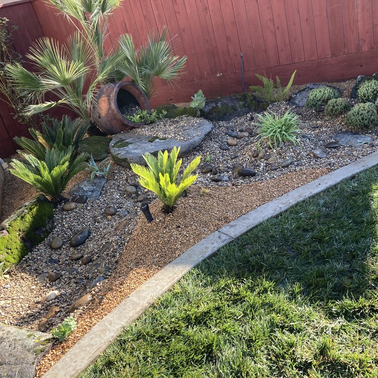 Landscaping in Fresno, CA